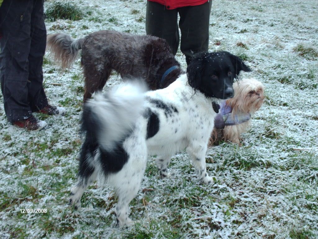 luna en haar vriendinnen
