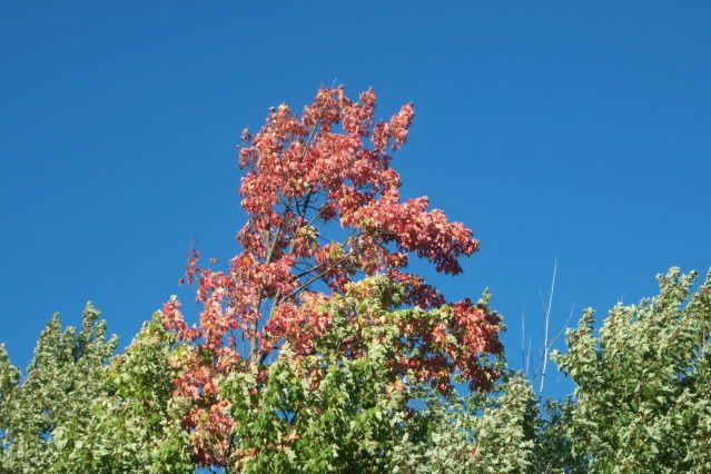 100_2755.jpg