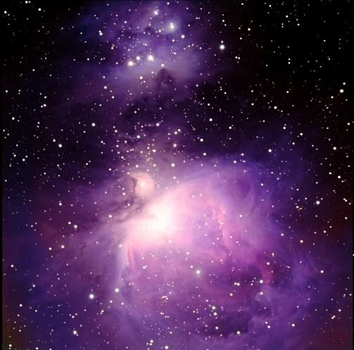Purple Space