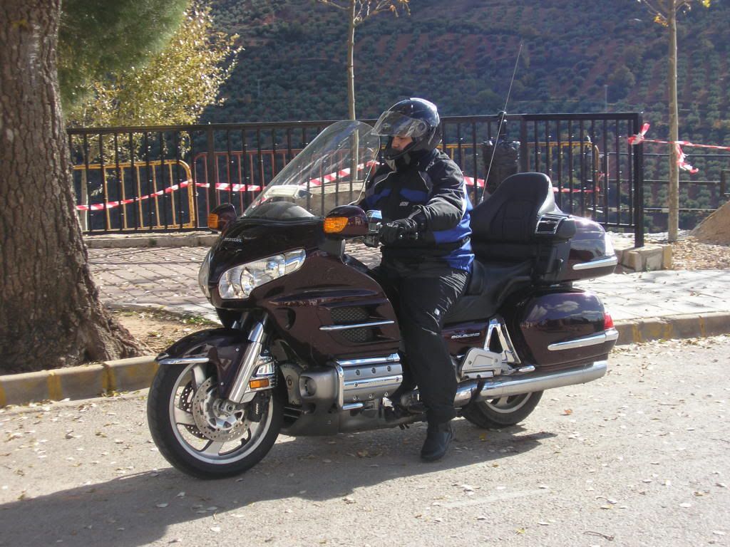 P1011631.jpg