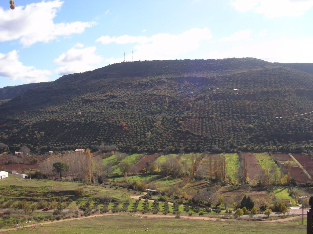 P1011634.jpg