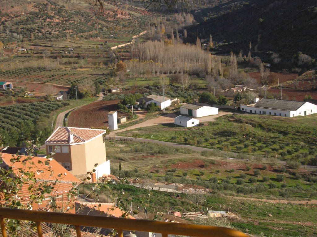 P1011642.jpg