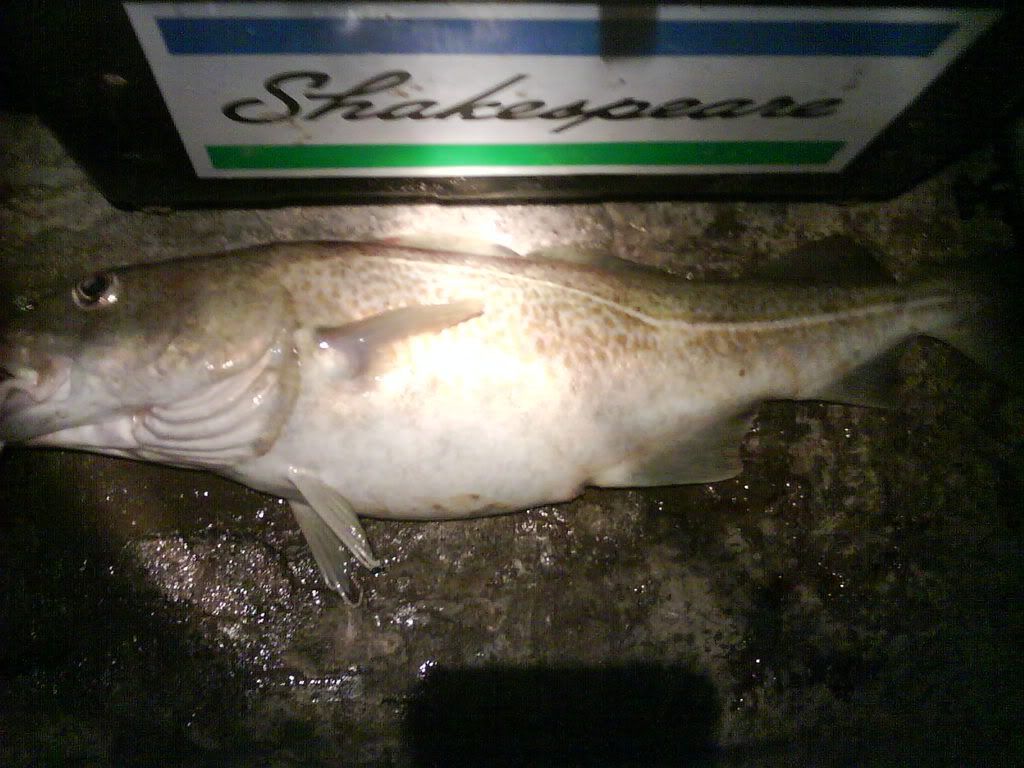 DSC00196.jpg