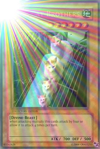 Copy2ofCopyofthe4cat.jpg?t=1224543485