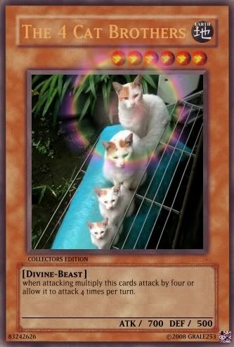 Copyofthe4cat.jpg?t=1224541204
