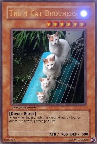 Copyofuntitled1.jpg?t=1224541217