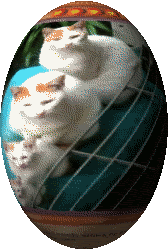 Untitled.gif?t=1224540443