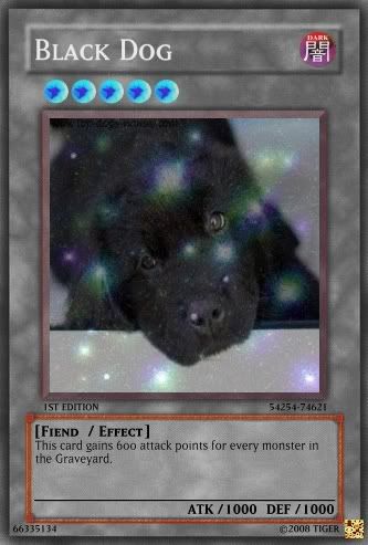 puppy.jpg?t=1224532923