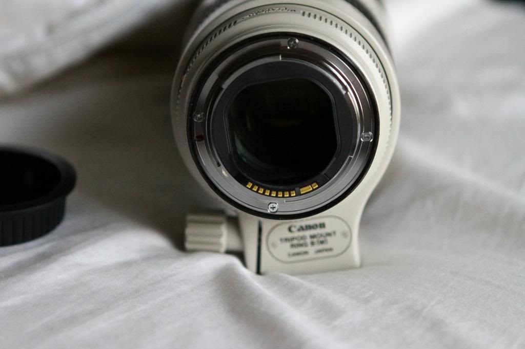 IMAGE: http://i428.photobucket.com/albums/qq3/inspectoring/IMG_3391.jpg