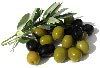 olives Pictures, Images and Photos