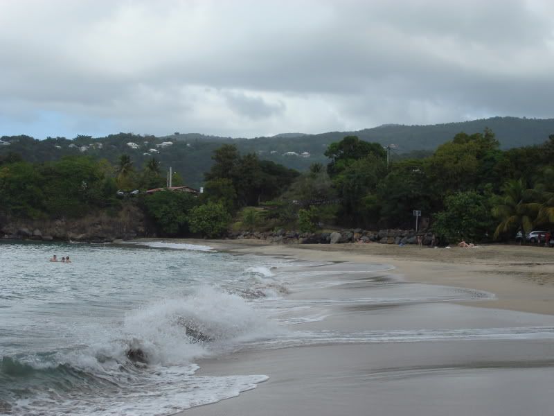 DSC03605.jpg