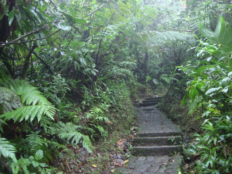 DSC04153.jpg