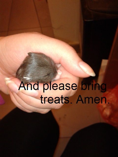 20131001_205805_zpsjzmrptvb.jpg
