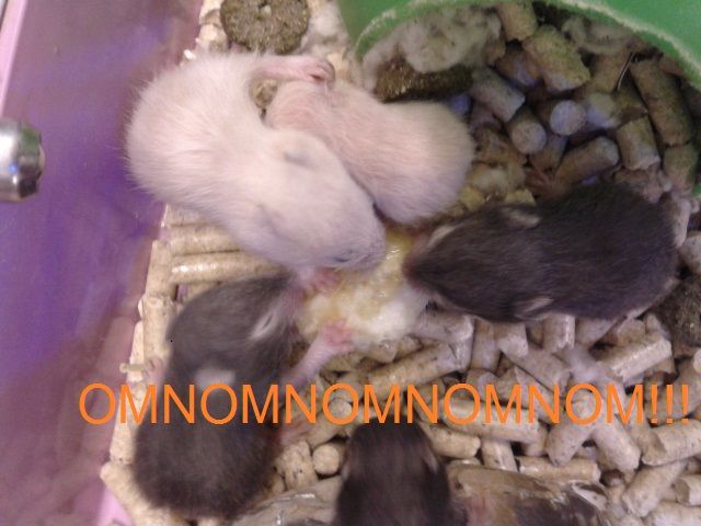 20150219_113817_zpsvyqynwpv.jpg