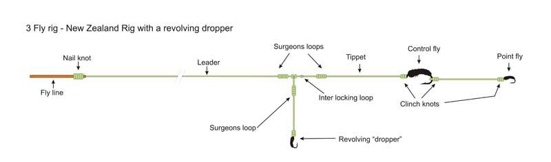 the-dropper-is-placed-on-the-loop-to-loop-connection-the-two-surgeons