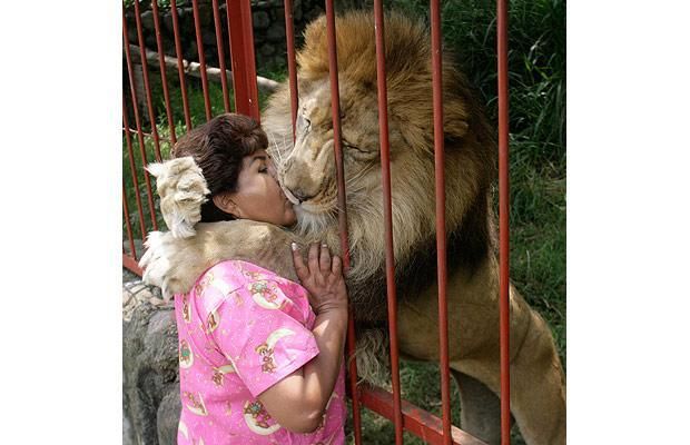 lion_kissing_zps337167f6.jpg