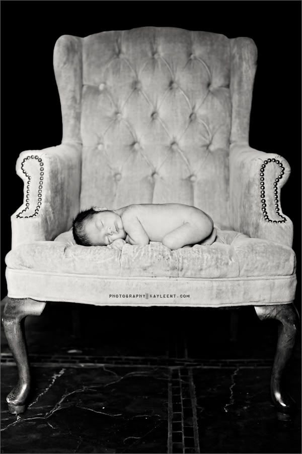 utah newborn portrait photography