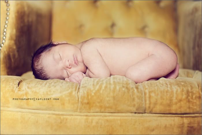 utah newborn portrait photography