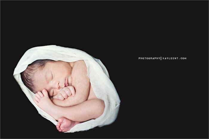 utah newborn portrait photography