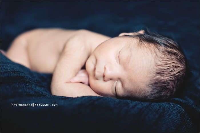 utah newborn portrait photography
