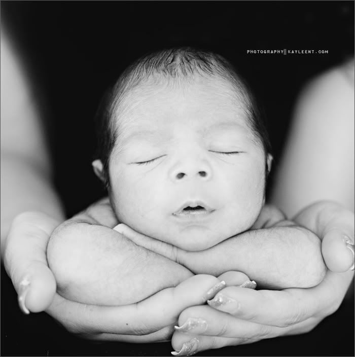 utah newborn portrait photography