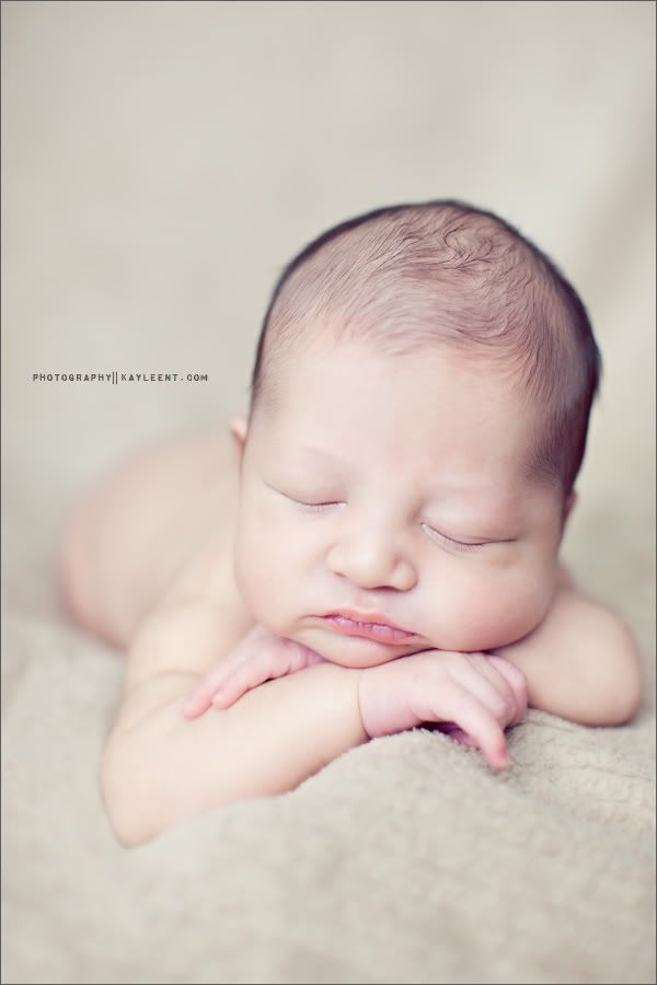Utah newborn portrait photographer