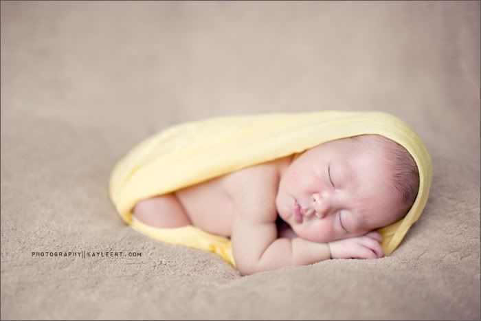 Utah newborn portrait photographer