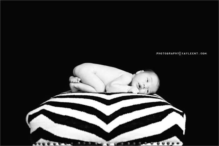 utah newborn photographer
