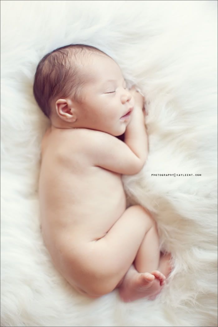 utah newborn photographer