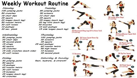 home gym workout routine chart