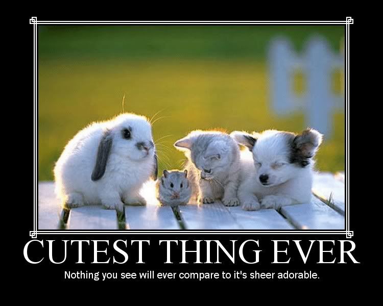 CutestThingEver.jpg