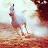 horse.png image by orionreflection horse.png image by orionreflection