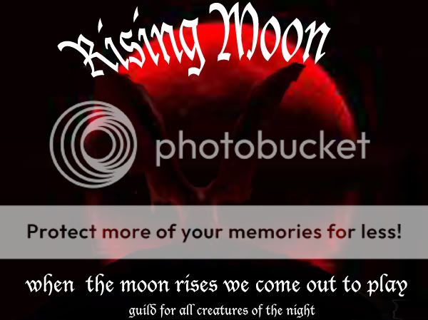 Rising Moon banner